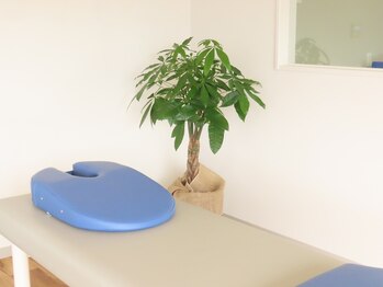 アテップ整体/内観2