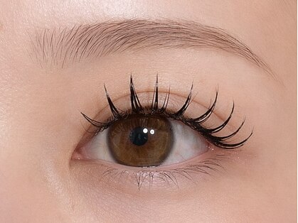 アイラッシュ バイ コンベックス(EYELASH by convex)の写真