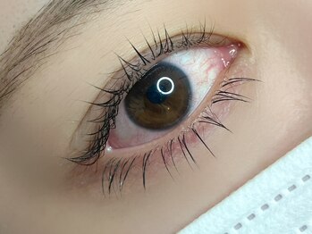 ラヴィアスプラス(LAVIAS+)/下まつげ/エクステ