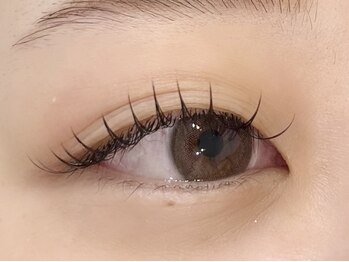 エデン(EDEN)/フラットラッシュ80本