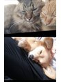 デップ 小倉店(DEP)&nbsp;【動物大好き】我が家の大好きなペットたちです！