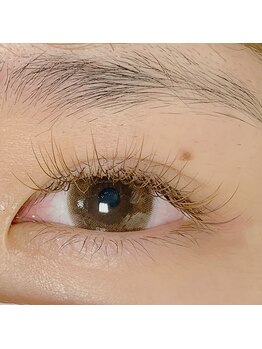 パッション 枚方牧野店(Passion)/フラットラッシュ《マツエク》