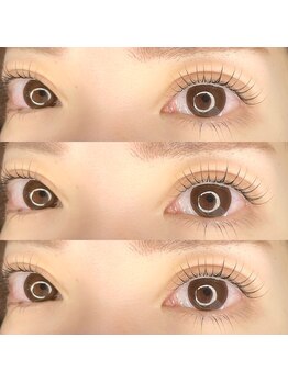 リンク(Linq)/ラッシュリフトカールデザイン