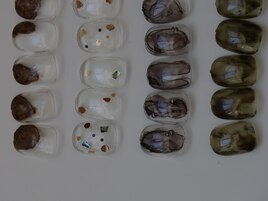 〈アート定額〉　シンプルコース