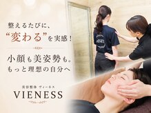 ヴィーネス(VIENESS)