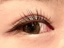 レミア 関内(REMIA)/9月　ダークブラウン