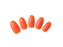 ディーバ 海老名店(Diva)/Autumn color