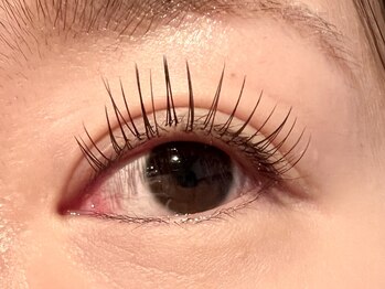 レミア 関内(REMIA)/9月　フラットラッシュ