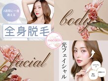 マカロン(macaron)