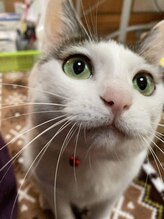 サロン ド スー(Salon de Suu)&nbsp;オノ 