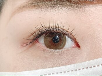 ココ アイラッシュ(co.co. eyelash)/スーパーフラットラッシュ