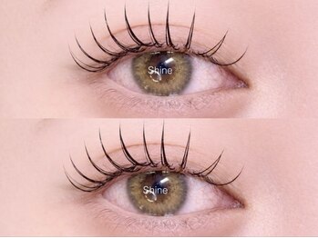 シャイン(Shine)/フラットラッシュ