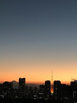 エッセンスマム 東京 プレナタールサロン(Prenatal salon)/サロンからの景色に癒される