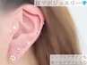 【キラキラ♪耳つぼジュエリー】両耳20粒　￥3,980