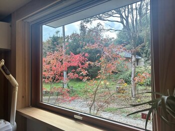 碧(ao)/自然の中で四季を楽しめるサロン