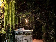 緑に囲まれた森の受付。入った瞬間から異次元の世界へようこそ♪