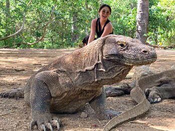 アジアンリラクゼーション ヴィラ 福岡東店(asian relaxation villa)/バリ：コモド島 コモドドラゴン