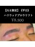 【再来限定】《平日》ハリウッドブロウリフト