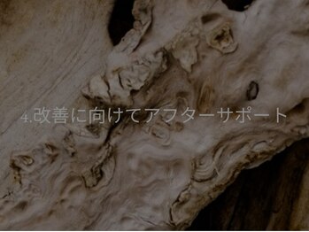 アマランス(AMARANTH)/4 改善に向けてアフターサポート