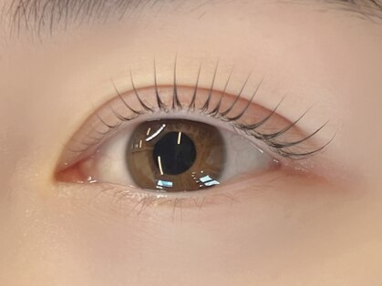 ルミエール(Lumiere)の写真