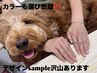 当店のサンプル1000種類以上から選ぶデザインコース¥9350→¥8250