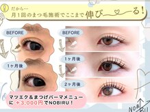 ガーベラ(Gerbera)の雰囲気（リピート率毎月90%超え！『試して良かった』のお声続出メニュー）