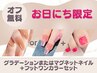 [本日限定] グラデーションorマグネット＋フットネイル（オフ込） ◆10000円