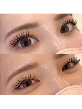 ダリア(DAHLIA)/フラットラッシュつけ放題