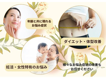 YOSAPARK Spinelの写真