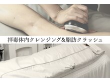 ワイドット(Y.)の雰囲気(短期間でダイエット成功者続出♪成功の鍵は〇〇バランス)