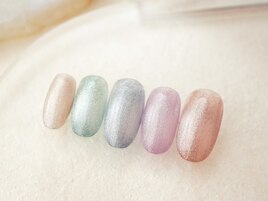 シンプルニュアンス定額