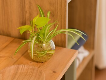 パグーグー(puguu...guu...)/内観