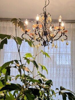 マイカイカ(Maikai-ka)/