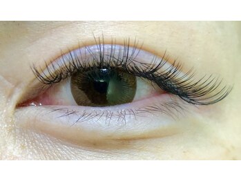 カラーズ(colors)/バインドロック40束