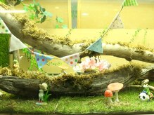 アスモまるだい整体院/まるだいフォレスト