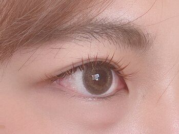 リリー(Lily)/カラーフラットラッシュ