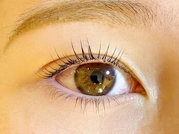 オーク 戸塚(OAK)/パリジェンヌラッシュリフト