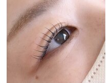 ロータス(Lotus)/