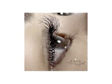 コリー(Cory.)