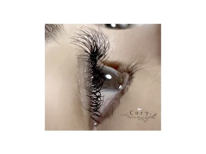 コリー(Cory.)の写真