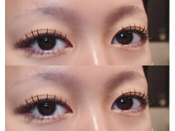 ネオリーブサイン(Neolive sign)/フラットラッシュ 120本