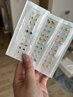 よもぎ蒸し＋耳ツボケアコース　¥6000→¥5000