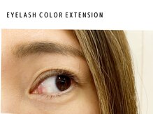 ディーメイプル(D maple)/ブラウンカラーは5色から★