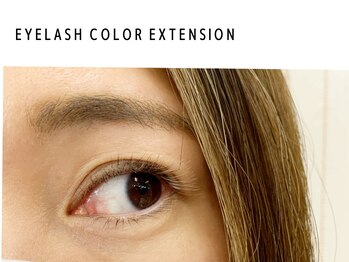 ディーメイプル(D maple)/ブラウンカラーは5色から★