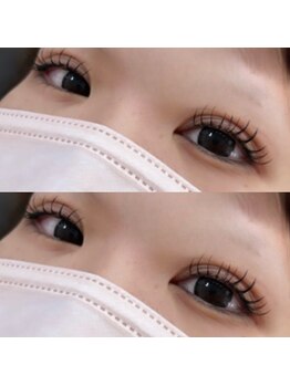 ダリア(DAHLIA)/フラットラッシュ140本