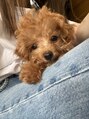 クレモアネイル 池袋西口店(CLEMORE NAIL) 犬が大好きです!