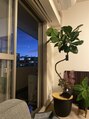 サロン ド ボー(Salon de Beau)&nbsp;観葉植物や土いじりも好きです！ベランダ菜園してます