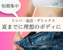 ヨサパーク ノイヴィソ いわき店(YOSAPARK noiviso)