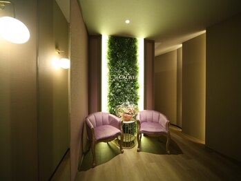 シー バイ カリスタ 銀座一丁目店(C by CALISTA)の写真/銀座一丁目徒歩2分【美容鍼は小顔だけでない】美容鍼で小顔&美肌に。[肩こり/小顔/ほうれい線]