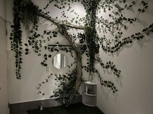 ヌマール バクの森/お部屋の中